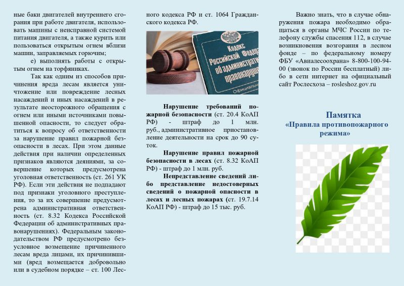 Ярославская межрайонная природоохранная прокуратура разъясняет о правилах противопожарного режима в лесах